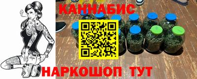 спиды Кингисепп