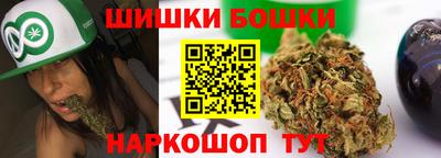 спиды Кингисепп