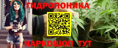дмт Кинель
