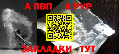 спиды Кингисепп