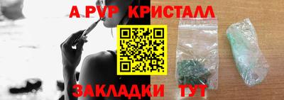 спиды Кингисепп