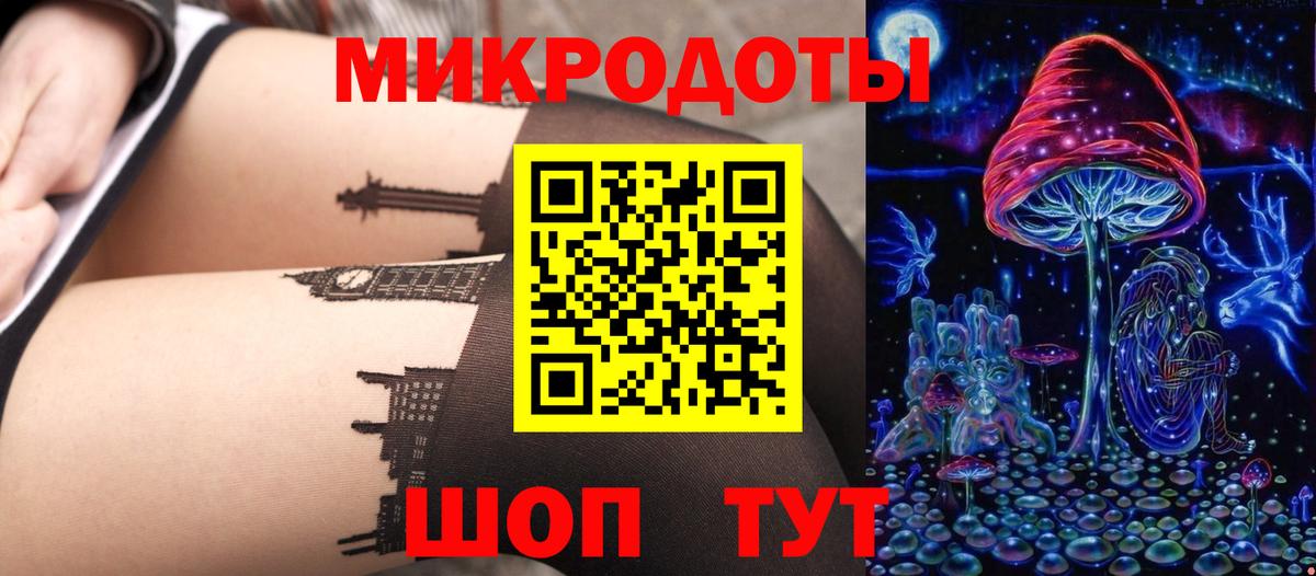 Заволжье  Псилоцибиновые грибы GOLDEN TEACHER  Вход с VPN  Псилоцибиновые грибы прущие грибы 